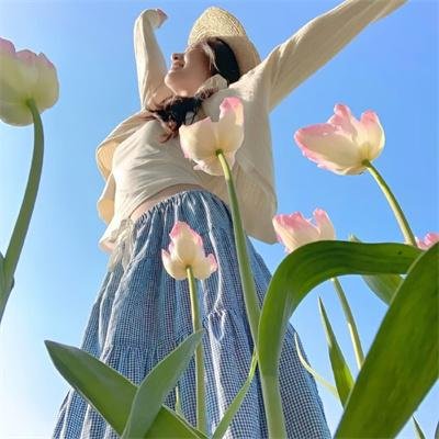 我的宝藏